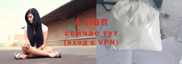 ПСИЛОЦИБИНОВЫЕ ГРИБЫ Зерноград