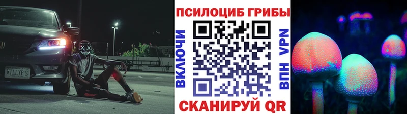 Купить закладки  Кировск  Псилоцибиновые грибы мухоморы 